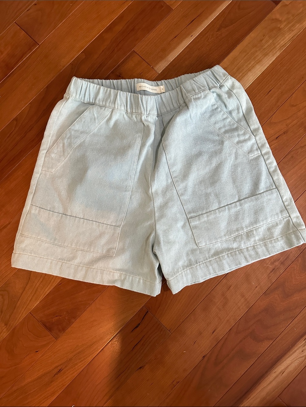 Micaela Greg Light Blue Elastic Waist Shorts